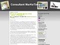 consultant marketing